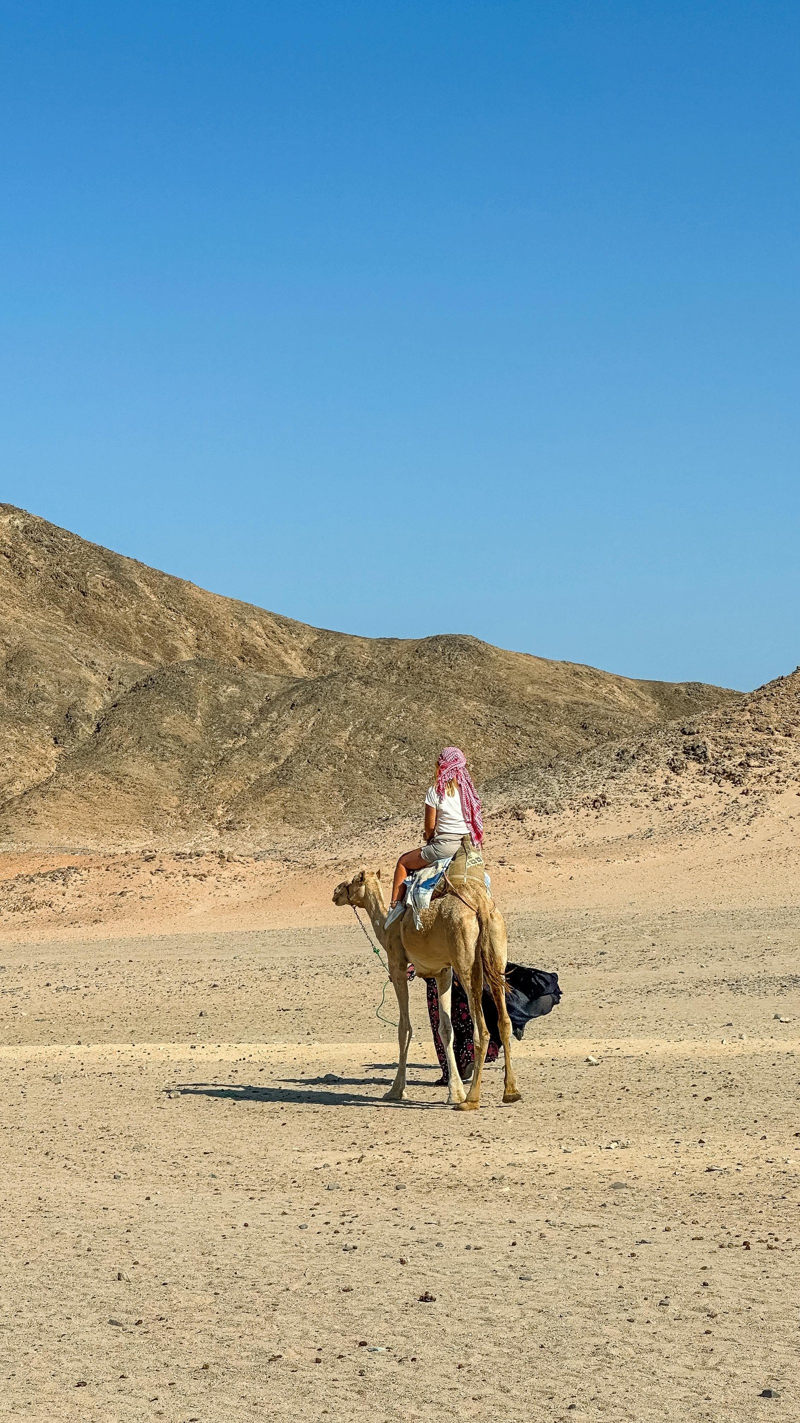 Desert Safari